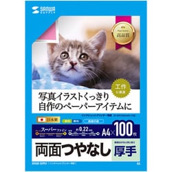 インクジェット用両面印刷紙 厚手 A4サイズ 大容量タイプ 100枚入 JP-ERV5NA4N-100