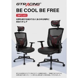 ヨドバシ.com - ジーティーレーシング GTRacing JP-BF210-RE