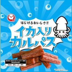 ヨドバシ.com - 宮内ハム イカ入りカルパス 50g 通販【全品無料配達】