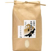 精米 新潟県旧下田村産 こしひかり 2kg 令和5年産
