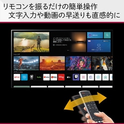 ヨドバシ.com - LGエレクトロニクス 55QNED85JQA [QNED 85シリーズ 55V