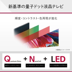 ヨドバシ.com - LGエレクトロニクス 50QNED80JQA [QNED 80シリーズ 50V