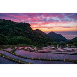10-1425 日本風景 石部棚田のキャンドルナイト（静岡） [ジグソーパズル 1000ピース]
