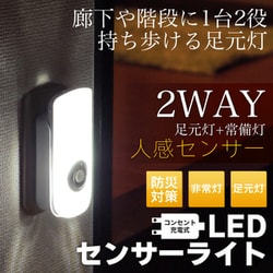 wasser 13 ホワイト wasser light13