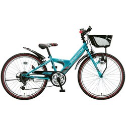 T*s様 ブリヂストン エクスプレスジュニア 22インチ EXJ26 100000001007104846_10208.jpg