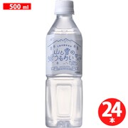 山と雪のうるおい 500ml×24本