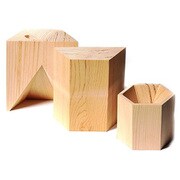 盛塩器 大