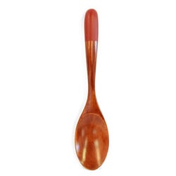 ヨドバシ.com - かのりゅう スプーン 20cm カレースプーン beni
