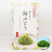想いっきり海ぶどう 活生 塩水入り 50g