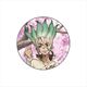Dr.STONE 描き下ろし 缶バッジ 桜シリーズ 石神千空 [キャラクターグッズ]