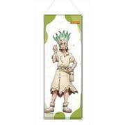 Dr.STONE 描き下ろし ミニタペストリー 桜シリーズ 石神千空 [キャラクターグッズ]