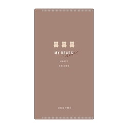 マスクケース ミラー付き 抗菌 Ag+ SIAA 収納 モカ 56501