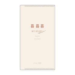 マスクケース ミラー付き 抗菌 Ag+ SIAA 収納 ラテ 56504