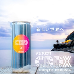 ヨドバシ.com - チェリオ CBDX 250ml [炭酸飲料] 通販【全品無料配達】