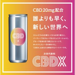 ヨドバシ.com - チェリオ CBDX 250ml [炭酸飲料] 通販【全品無料配達】