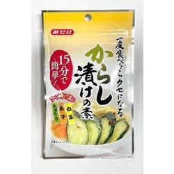 からし漬けの素 40g