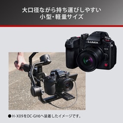 ヨドバシ.com - パナソニック Panasonic H-X09 [LEICA DG