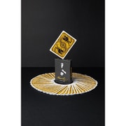 SPCARD003 PLAYING CARDS BRUCE LEE [カードゲーム]