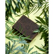 SPCARD030 PLAYING CARDS Smokey Bear, Limited Brown Ed. [カードゲーム]