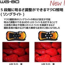 ヨドバシ.com - リコー RICOH RICOH WG-80 オレンジ [コンパクト