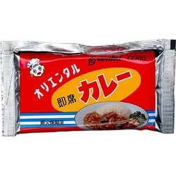 即席カレー 95g