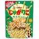 じゃがりこサラダbits 大モリ 103g
