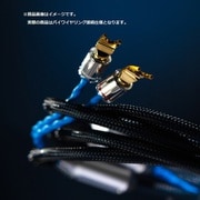 スピーカーケーブル バイワイヤリング接続 2.5m 受注生産 CLASSIC-LEGEND380L-BIWIRE/2.5m