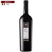 729-051 ネーロ・ディ・トロイア 750ml イタリア/プーリア [赤ワイン]