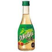 CHOYA ウメッシュの素 14度300ml [リキュール]