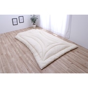ダニがいなくなる滅ダニ 掛けふとん ダブルロングサイズ(190×210cm) ポリエステル100% 日本製 1900g