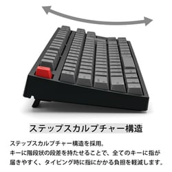 ARCHISS メカニカルキーボード CHERRY静音赤軸　日本語91PC/タブレット