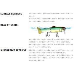 ヨドバシ.com - デプス deps NEW サイレントキラー175 #11 ヨドバシ.com - デプス deps NEW サイレントキラー175 #11