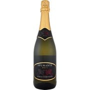 グリジオロッソ・ヴィノ・スプマンテ・ブリュット 750ml [スパークリングワイン]