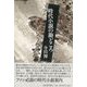 【バーゲンブック】時代小説の勘どころ [単行本]