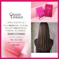 グランドリンケージ4＋20ケ 4x 20ケ りぼん！ グランドリンケージ4＋ 20ケ 4x 20ケ 楽天市場