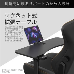 ヨドバシ.com - アンダシート Andaseat GC-Kaiser3/ASH [ゲーミング