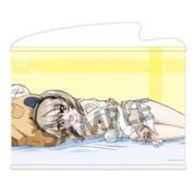 ガールズ＆パンツァー 最終章 B2タペストリー 添い寝 Ver. 島田愛里寿 B [キャラクターグッズ]