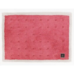 乾度良好 Ag+バスマット クリーンフット 縦50cm×横70cm ピンク