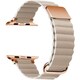 IQ-AW003B41-GY [Apple Watch 41/40/38mm レザーマグネットベルト （003） グレージュ]