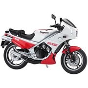 21745 1/12 カワサキ KR250 （KR250A） ホワイト/レッドカラー [組立式プラスチックモデル]