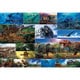 ジグソー L74-193 学べるシリーズ 古生物のようす [ジグソーパズル 150ピース]