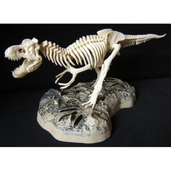 恐竜化石組み立てセット T-REX ホワイト
