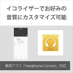 ヨドバシ.com - ソニー SONY WI-C100 L [ワイヤレスステレオヘッド