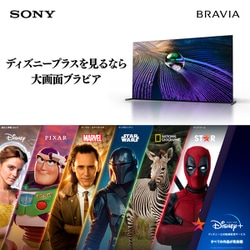 ヨドバシ.com - ソニー SONY BRAVIA XR(ブラビア エックス ヨドバシ.com - ソニー SONY BRAVIA XR(ブラビア エックス