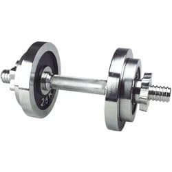 NST-010 [クロームダンベル 10kg シルバー]