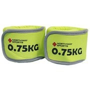 NST-GW0.75 [ジェルウエイト 0.75kg グリーン]