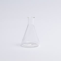 BOROSIL LAB GLASS 耐熱 ガラス フラスコ 100 ブランク 2LB0FF0_01_010