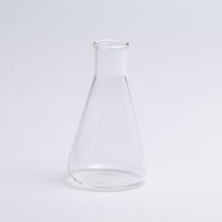 BOROSIL LAB GLASS 耐熱 ガラス フラスコ 250 ブランク 2LB0FF0_02_010