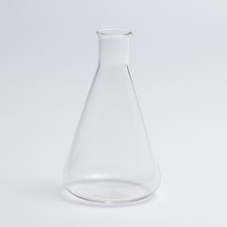 BOROSIL LAB GLASS 耐熱 ガラス フラスコ 500 ブランク 2LB0FF0_05_010
