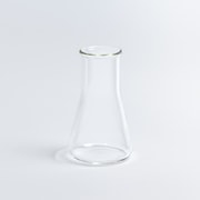 2LB0FW0_02_010 [BOROSIL LAB GLASS 耐熱 ガラス 広口 フラスコ 250 ブランク]